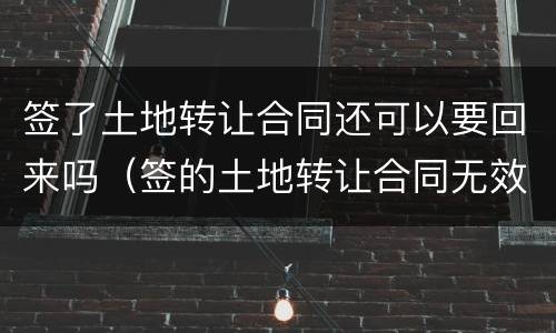 签了土地转让合同还可以要回来吗（签的土地转让合同无效怎么办）