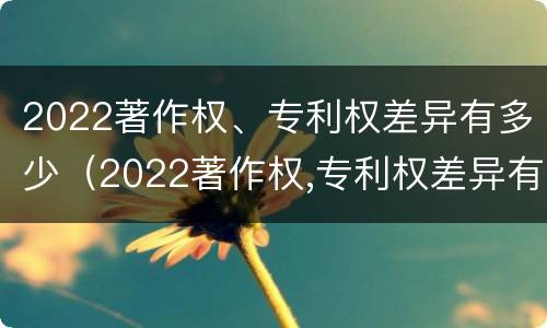 2022著作权、专利权差异有多少（2022著作权,专利权差异有多少个）