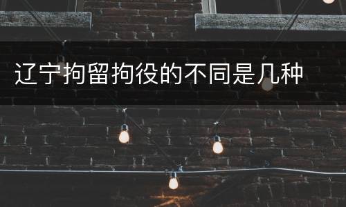 辽宁拘留拘役的不同是几种