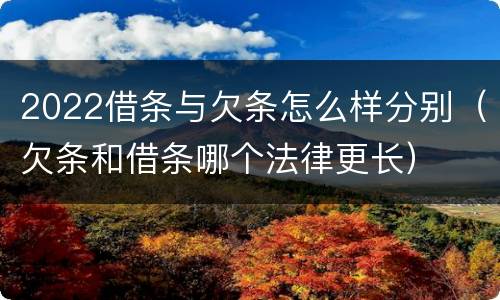 2022借条与欠条怎么样分别（欠条和借条哪个法律更长）