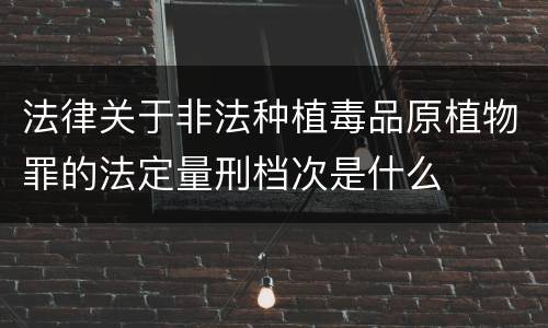 法律关于非法种植毒品原植物罪的法定量刑档次是什么