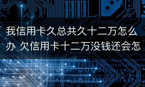 我信用卡久总共久十二万怎么办 欠信用卡十二万没钱还会怎么样 我信用卡久总共久十二万怎么办 欠信用卡十二万没钱还会怎么样