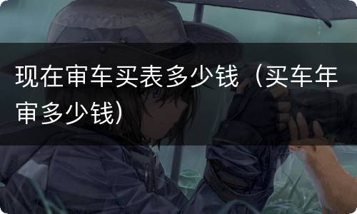 现在审车买表多少钱（买车年审多少钱）