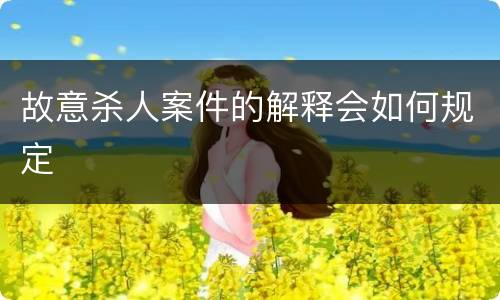 故意杀人案件的解释会如何规定