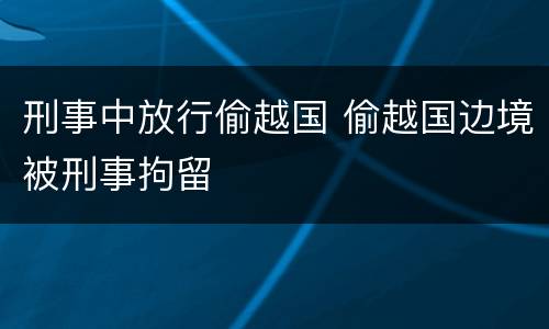 刑事中放行偷越国 偷越国边境被刑事拘留