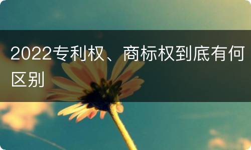 2022专利权、商标权到底有何区别