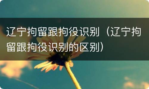 辽宁拘留跟拘役识别(辽宁拘留跟拘役识别的区别)