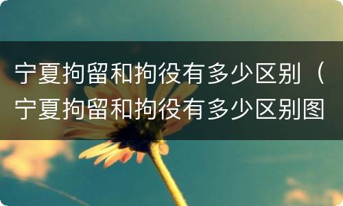 宁夏拘留和拘役有多少区别（宁夏拘留和拘役有多少区别图片）