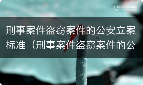 刑事案件盗窃案件的公安立案标准（刑事案件盗窃案件的公安立案标准是什么）