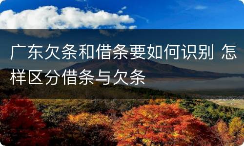 广东欠条和借条要如何识别 怎样区分借条与欠条