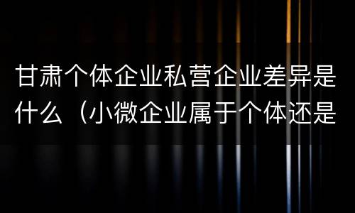 甘肃个体企业私营企业差异是什么（小微企业属于个体还是私营）