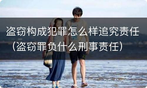 盗窃构成犯罪怎么样追究责任（盗窃罪负什么刑事责任）