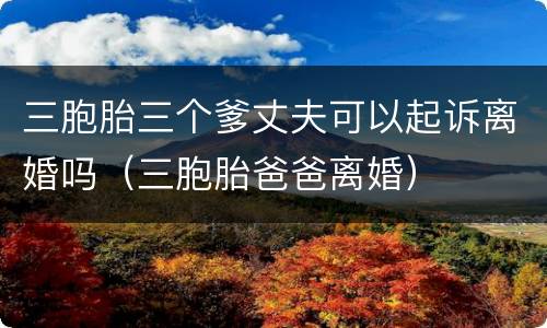 三胞胎三个爹丈夫可以起诉离婚吗（三胞胎爸爸离婚）