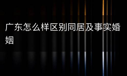 广东怎么样区别同居及事实婚姻