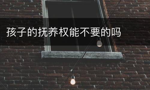 孩子的抚养权能不要的吗