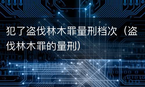 犯了盗伐林木罪量刑档次（盗伐林木罪的量刑）