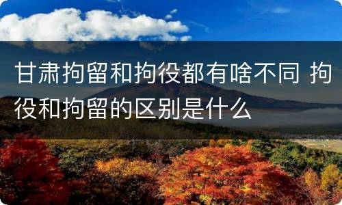 甘肃拘留和拘役都有啥不同 拘役和拘留的区别是什么