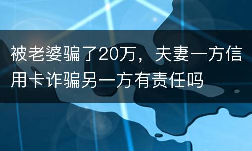 被老婆骗了20万，夫妻一方信用卡诈骗另一方有责任吗