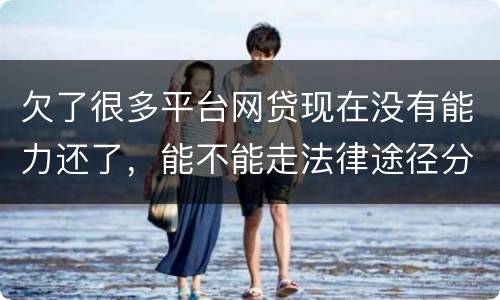 欠了很多平台网贷现在没有能力还了，能不能走法律途径分期