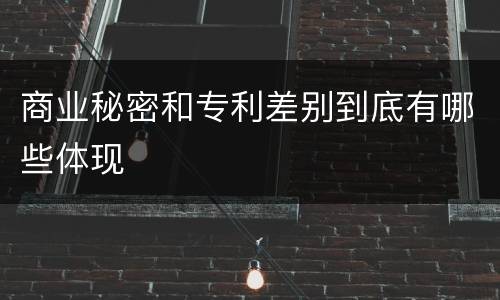 商业秘密和专利差别到底有哪些体现