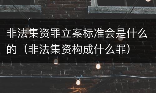 非法集资罪立案标准会是什么的（非法集资构成什么罪）
