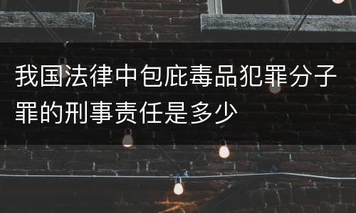我国法律中包庇毒品犯罪分子罪的刑事责任是多少