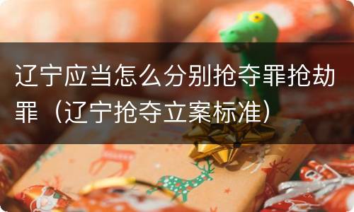 辽宁应当怎么分别抢夺罪抢劫罪（辽宁抢夺立案标准）