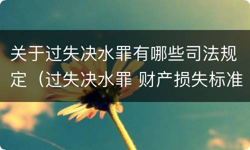 关于过失决水罪有哪些司法规定（过失决水罪 财产损失标准）