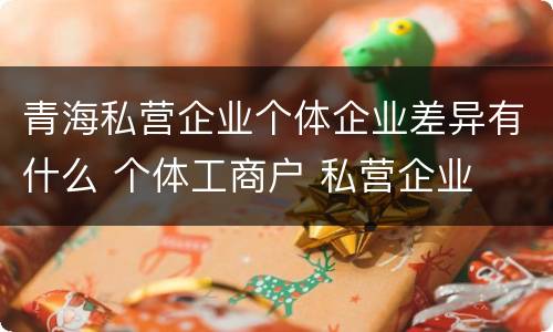 青海私营企业个体企业差异有什么 个体工商户 私营企业