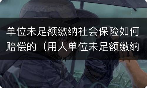 单位未足额缴纳社会保险如何赔偿的（用人单位未足额缴纳社会保险费,如何处理）