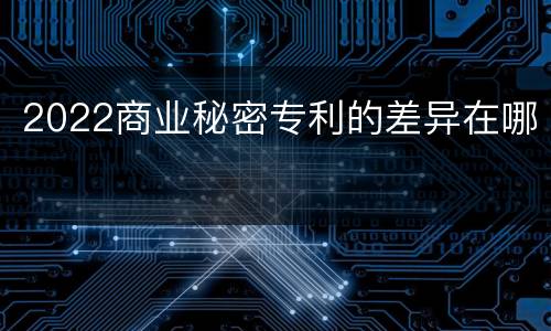 2022商业秘密专利的差异在哪