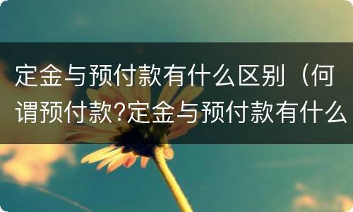 定金与预付款有什么区别（何谓预付款?定金与预付款有什么区别）