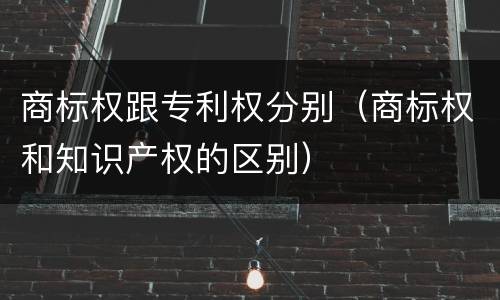 商标权跟专利权分别（商标权和知识产权的区别）