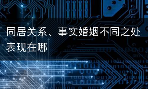 同居关系、事实婚姻不同之处表现在哪
