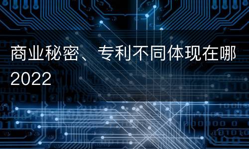 商业秘密、专利不同体现在哪2022