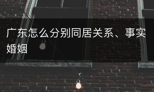 广东怎么分别同居关系、事实婚姻