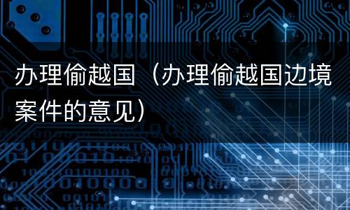 办理偷越国（办理偷越国边境案件的意见）