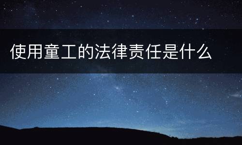 使用童工的法律责任是什么