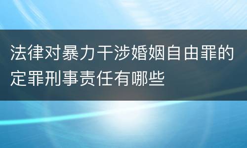 法律对暴力干涉婚姻自由罪的定罪刑事责任有哪些