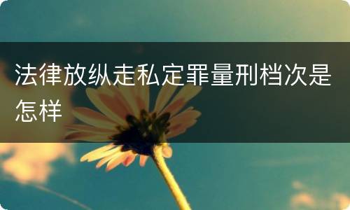 法律放纵走私定罪量刑档次是怎样