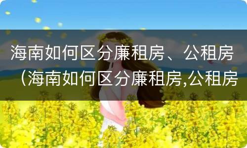 海南如何区分廉租房、公租房（海南如何区分廉租房,公租房和私租房）