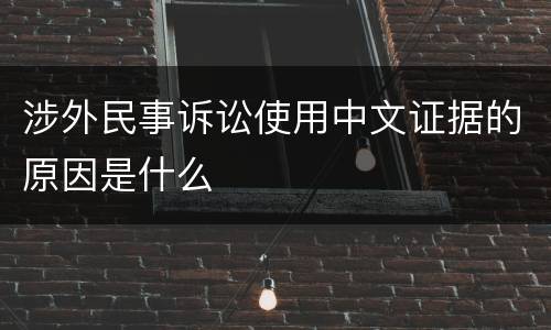 涉外民事诉讼使用中文证据的原因是什么