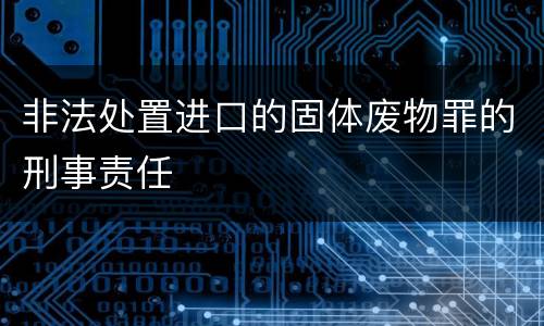 非法处置进口的固体废物罪的刑事责任