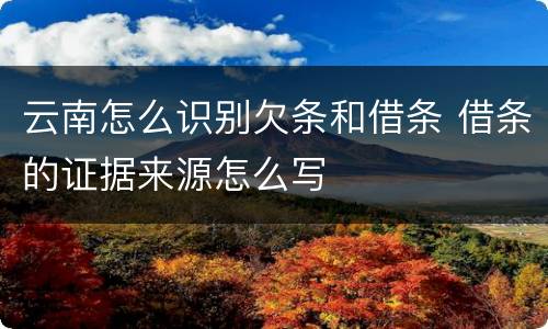 云南怎么识别欠条和借条 借条的证据来源怎么写