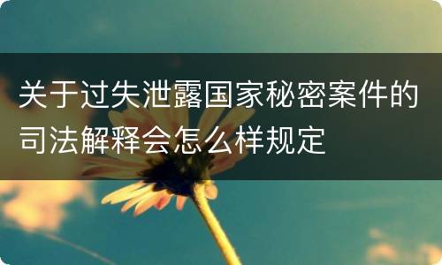 关于过失泄露国家秘密案件的司法解释会怎么样规定