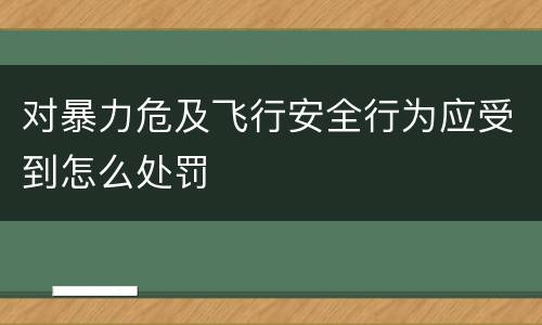 对暴力危及飞行安全行为应受到怎么处罚