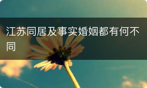 江苏同居及事实婚姻都有何不同