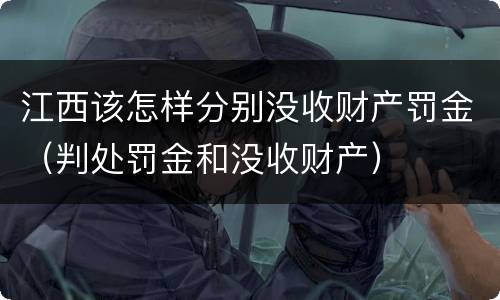 江西该怎样分别没收财产罚金（判处罚金和没收财产）