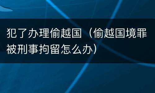 犯了办理偷越国（偷越国境罪被刑事拘留怎么办）