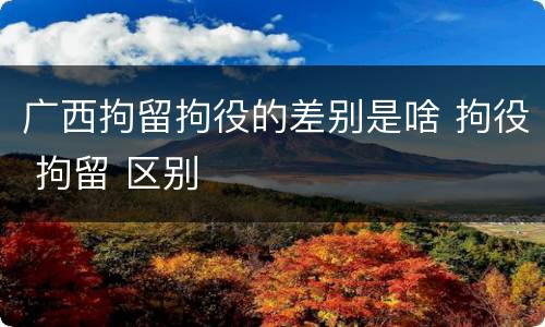 广西拘留拘役的差别是啥 拘役 拘留 区别